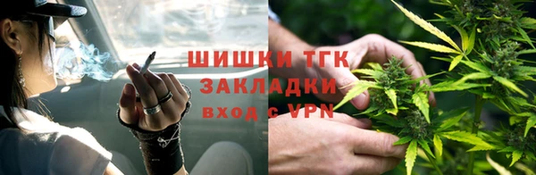 мяу мяу мука Вязьма