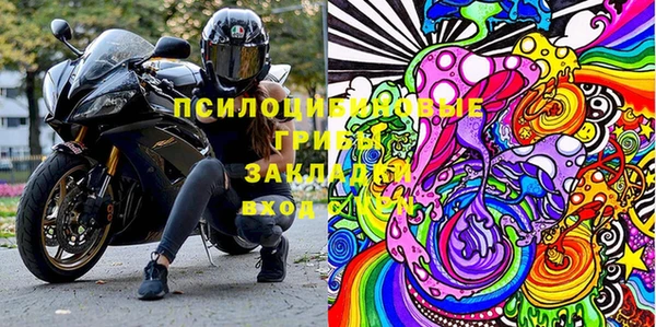 мяу мяу мука Вязьма